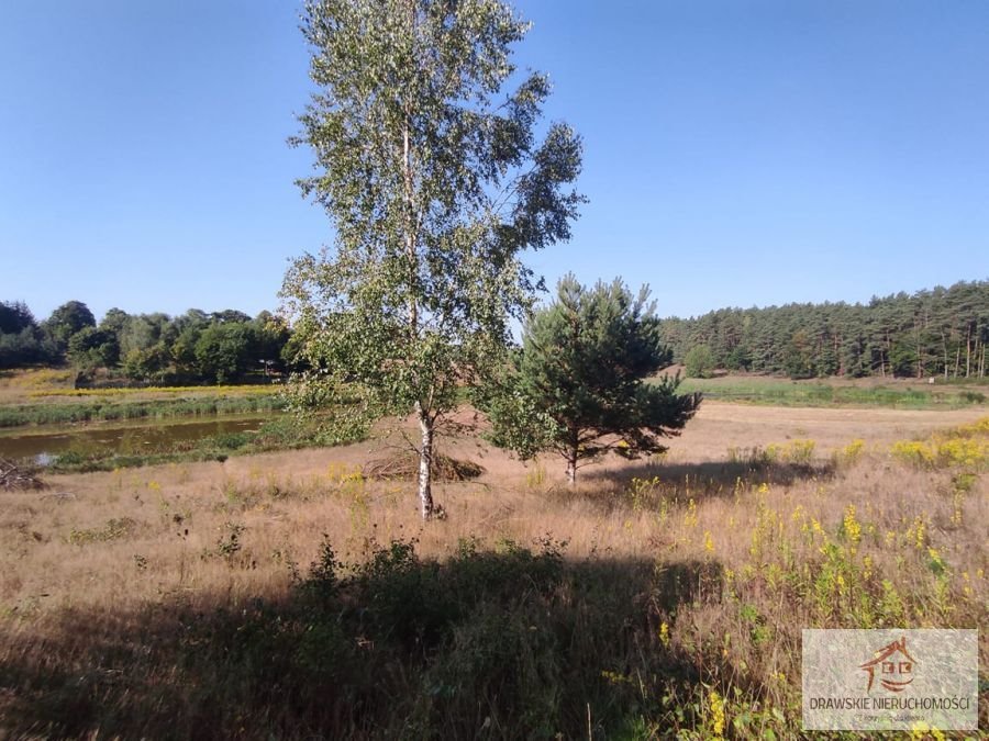 Działka rolna na sprzedaż Siemczyno, Siemczyno  13 000m2 Foto 3