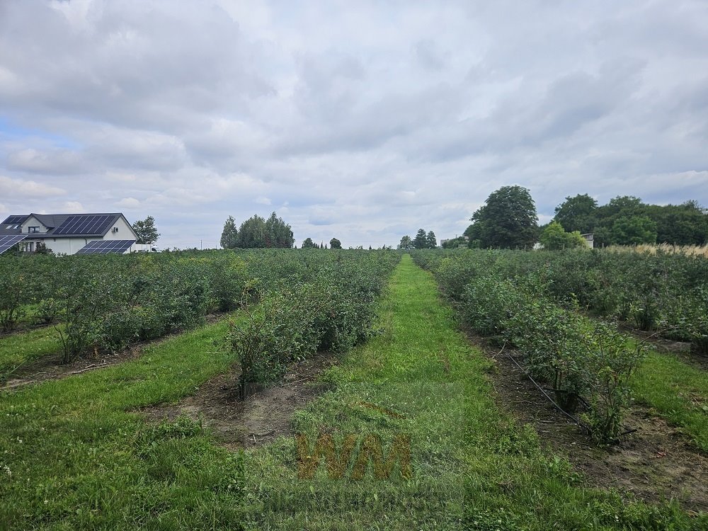 Działka budowlana na sprzedaż Rzeczyca  102 105m2 Foto 1