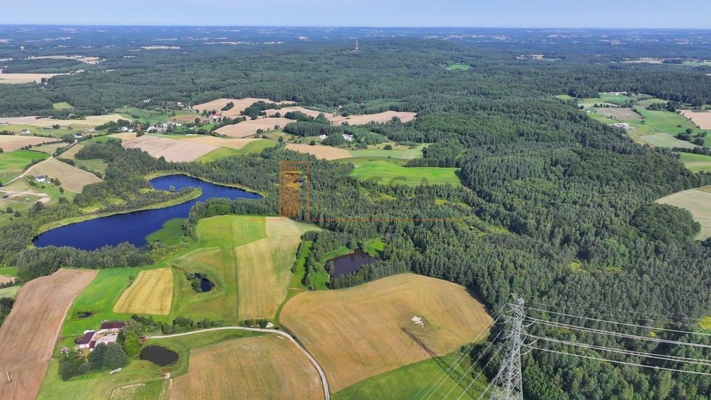 Działka siedliskowa na sprzedaż Grabowska Huta  16 780m2 Foto 8