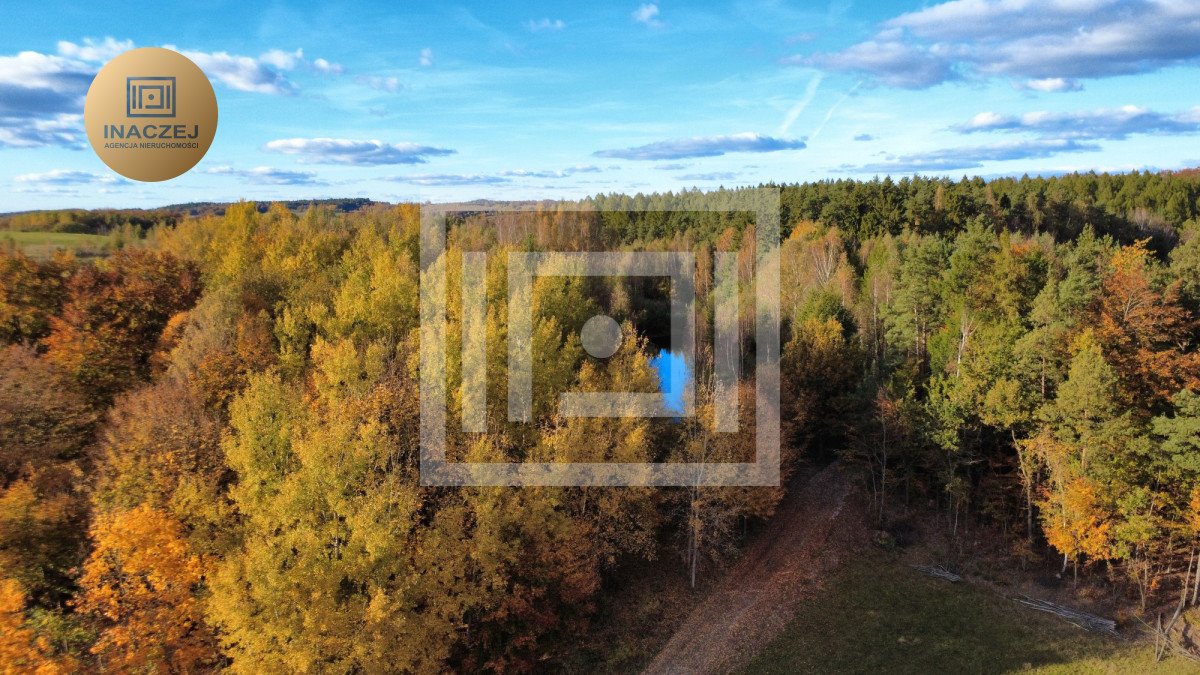 Działka budowlana na sprzedaż Gromadzin  3 253m2 Foto 1