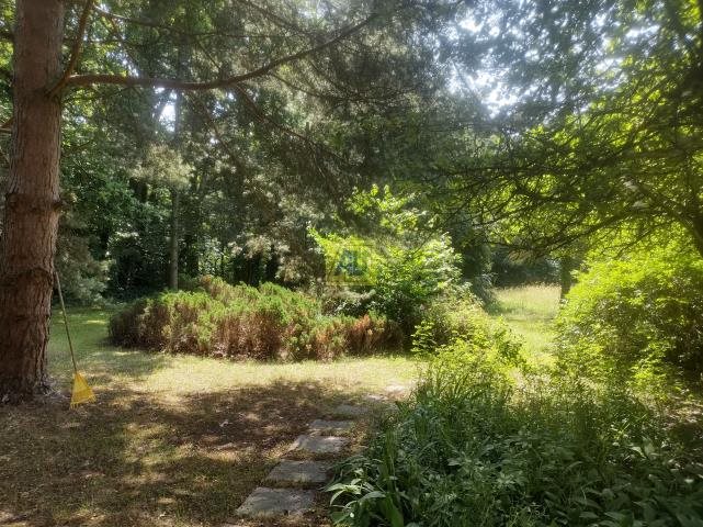 Dom na sprzedaż Zalesie Górne  315m2 Foto 2