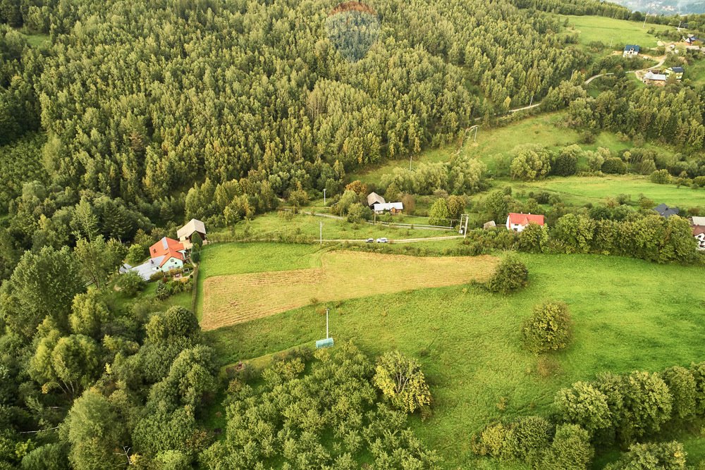 Działka budowlana na sprzedaż Ochotnica Dolna  4 383m2 Foto 16