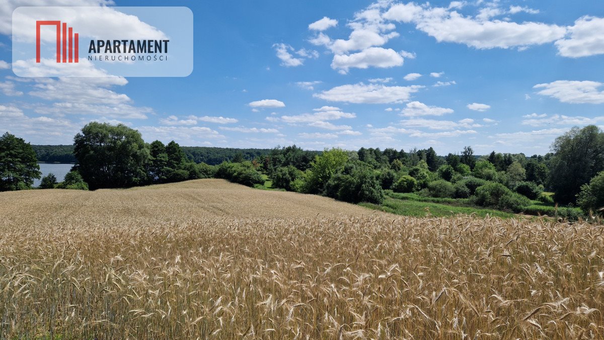 Działka gospodarstwo rolne na sprzedaż Chomiąża Księża  11 822m2 Foto 5