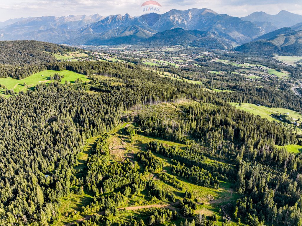 Działka rolna na sprzedaż Dzianisz  6 560m2 Foto 12