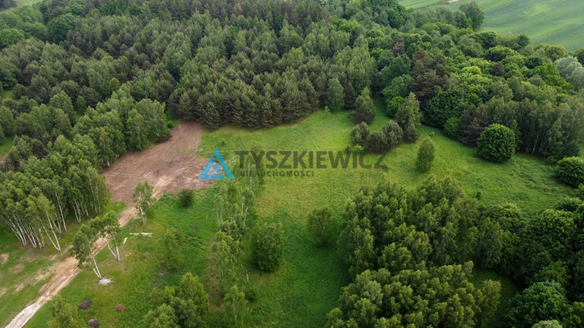 Działka budowlana na sprzedaż Graniczna Wieś  3 001m2 Foto 5