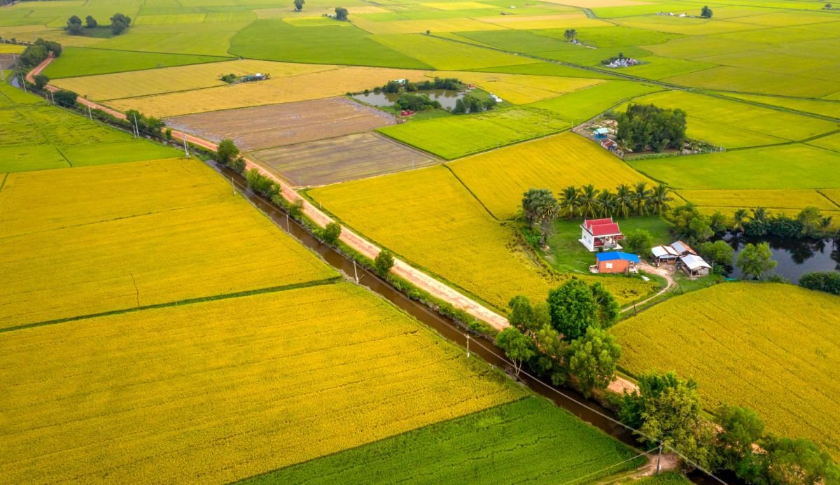 Działka siedliskowa na sprzedaż Czekołdy  4 700m2 Foto 2