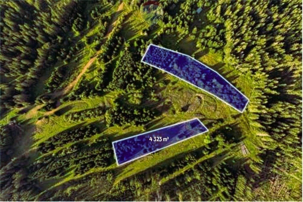 Malownicza działka 4 323 m² z widokiem na Tatry Dzianisz  4 323m2 Foto 1