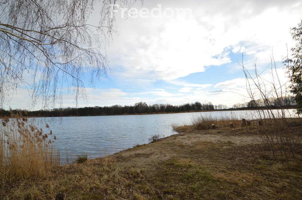 Działka inwestycyjna na sprzedaż Brzeziny  520 000m2 Foto 4