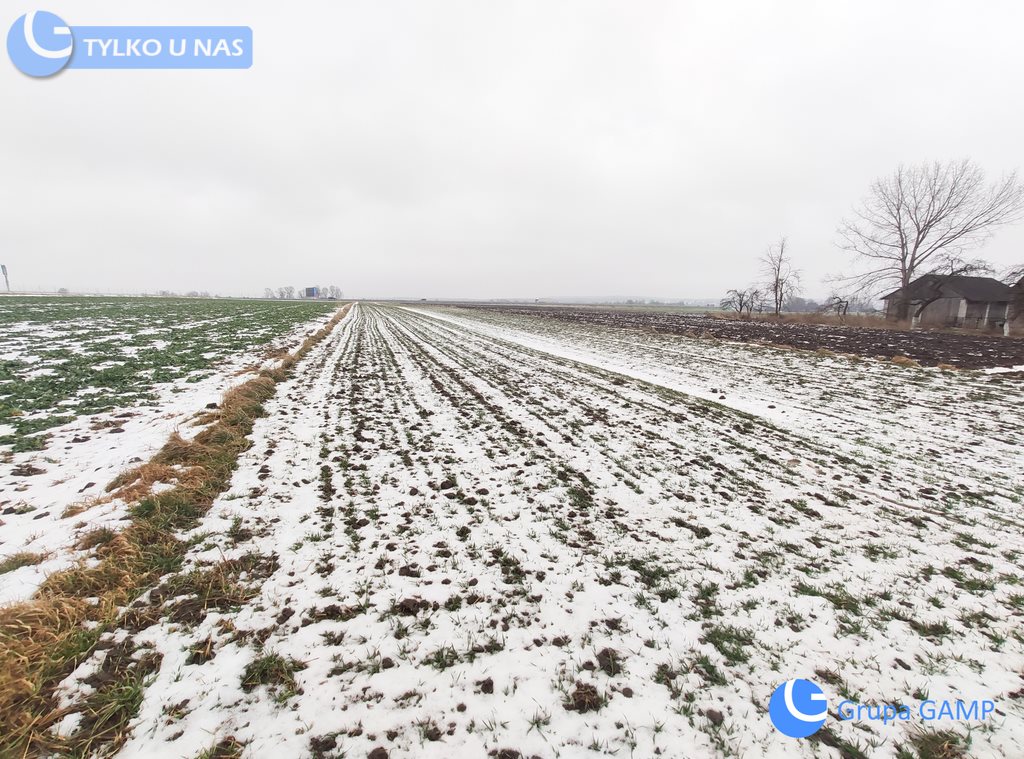 Działka budowlana na sprzedaż Sieciechowice  3 332m2 Foto 2