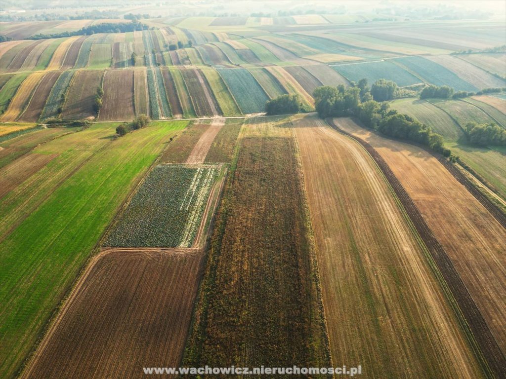 Działka rolna na sprzedaż Chodów  43 998m2 Foto 4