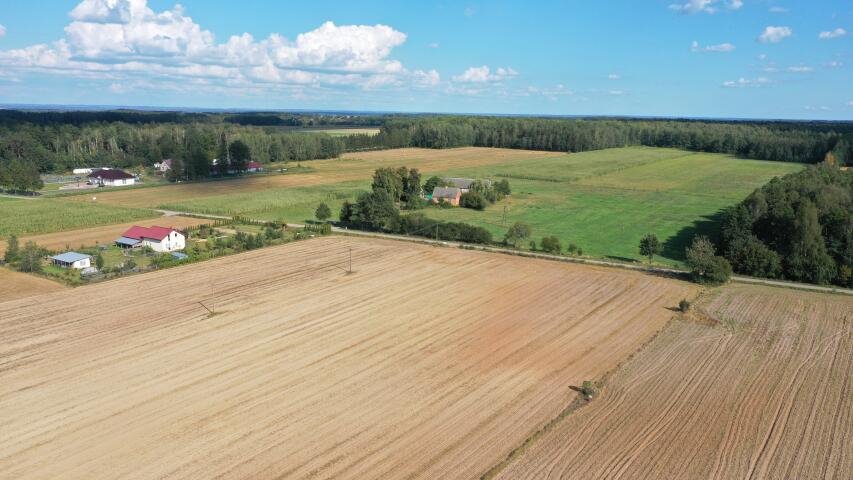 Działka budowlana na sprzedaż Przytuły  3 001m2 Foto 7