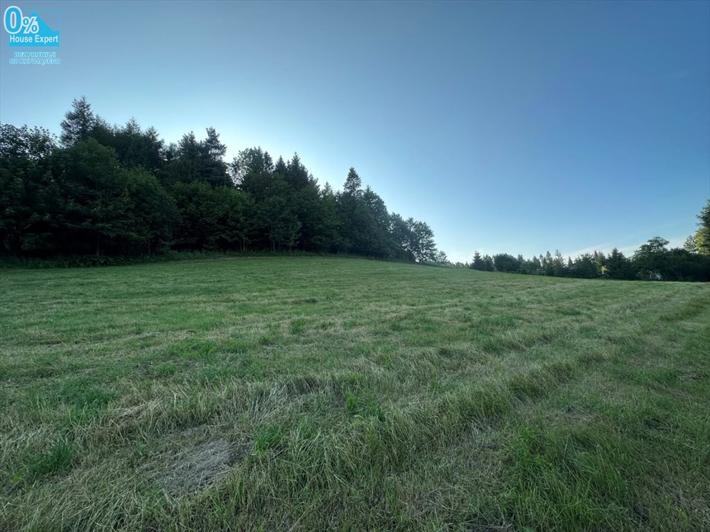 Działka rolna z widokiem, media, możliwość zabudowy Tylicz  5 500m2 Foto 1