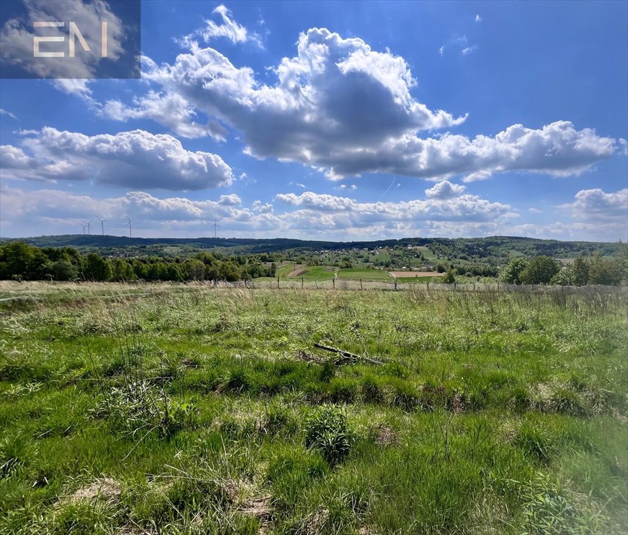 Dwie działki w Baryczy za 28 tys. zł – 0,44 ha! Barycz  4 400m2 Foto 1