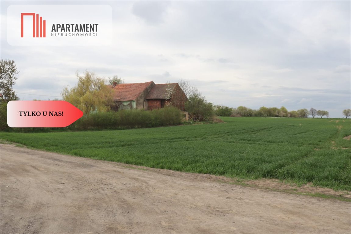 Działka 1,15 ha z zabudowaniami i mediami (Wilków Średzki) Wilków Średzki  11 500m2 Foto 1