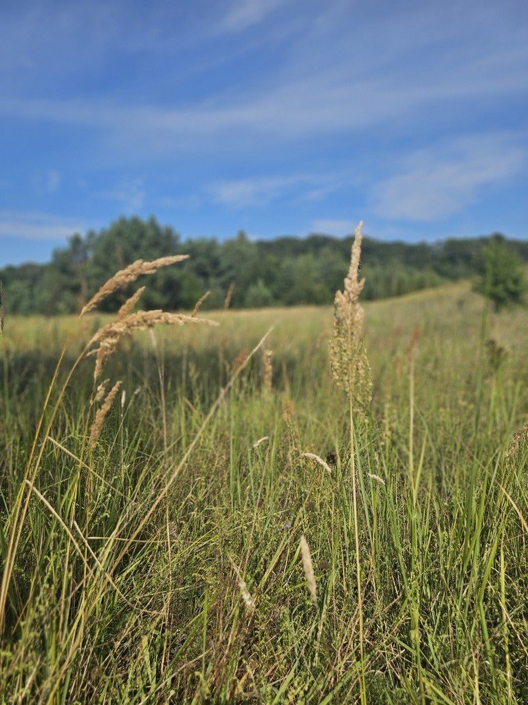 Działka budowlana na sprzedaż Bogdaniec  1 200m2 Foto 11