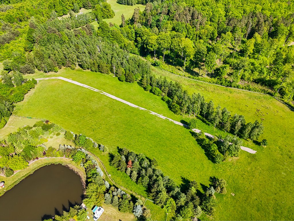 Działka budowlana na sprzedaż Gniewino  3 450m2 Foto 2