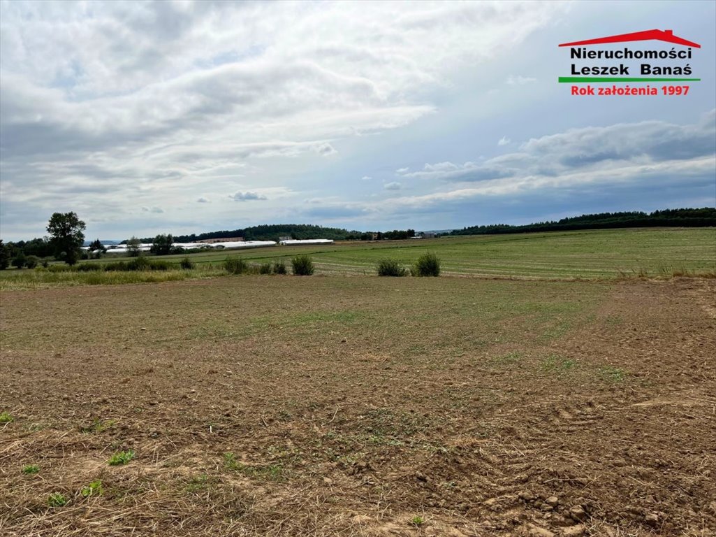 Działka budowlana na sprzedaż Białochowo  1 600m2 Foto 1