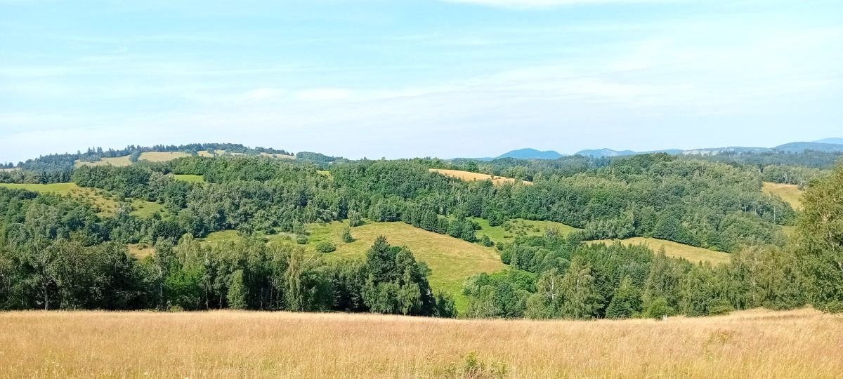 Działka budowlana na sprzedaż Michałkowa  1 200m2 Foto 5