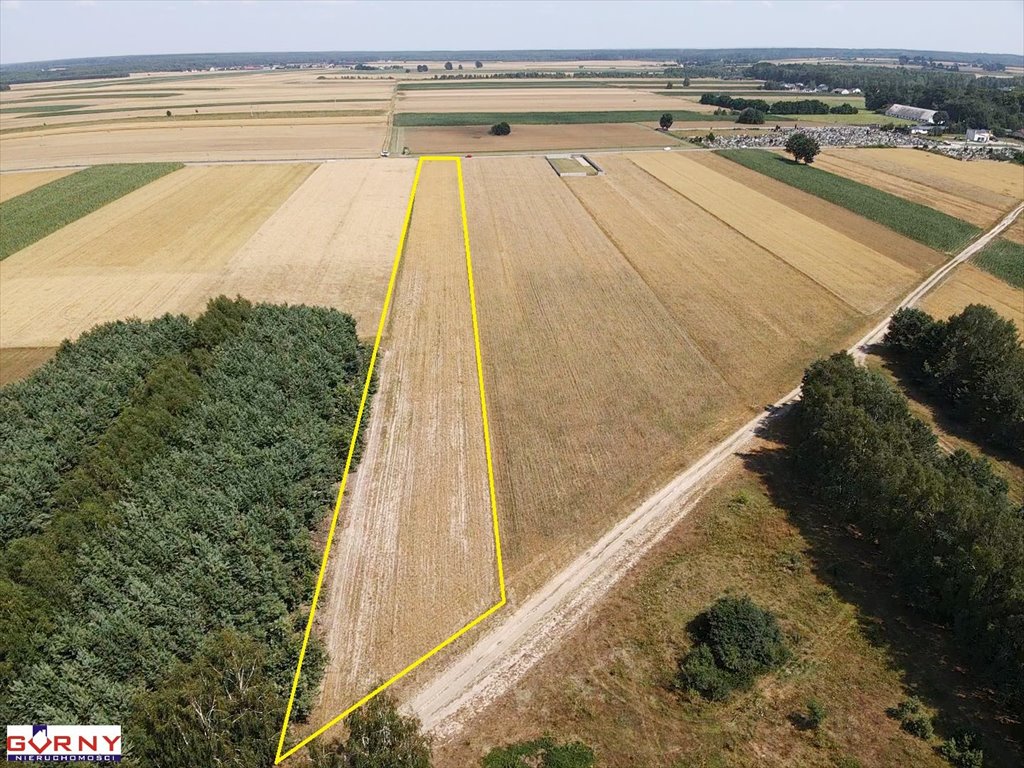 Działka inna na sprzedaż Mierzyn  7 560m2 Foto 4