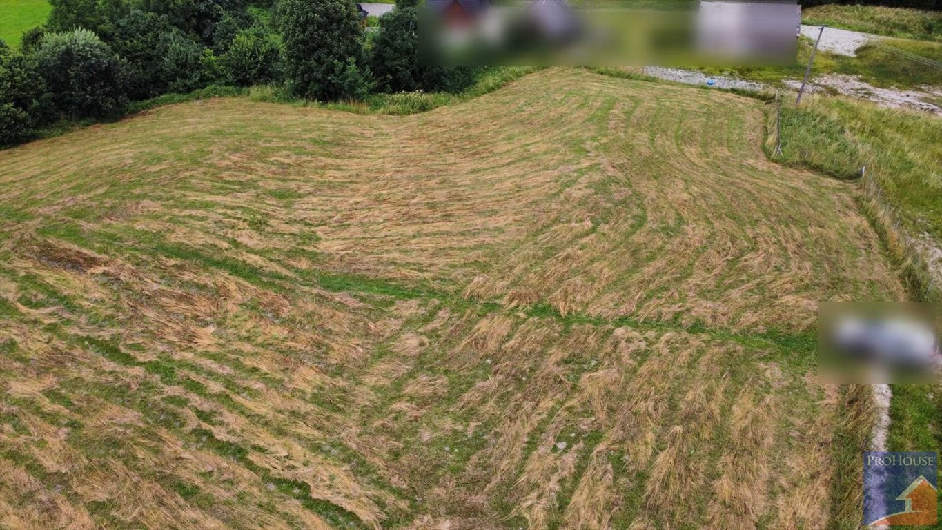 Działka budowlana na sprzedaż Pisarzowa  4 873m2 Foto 2