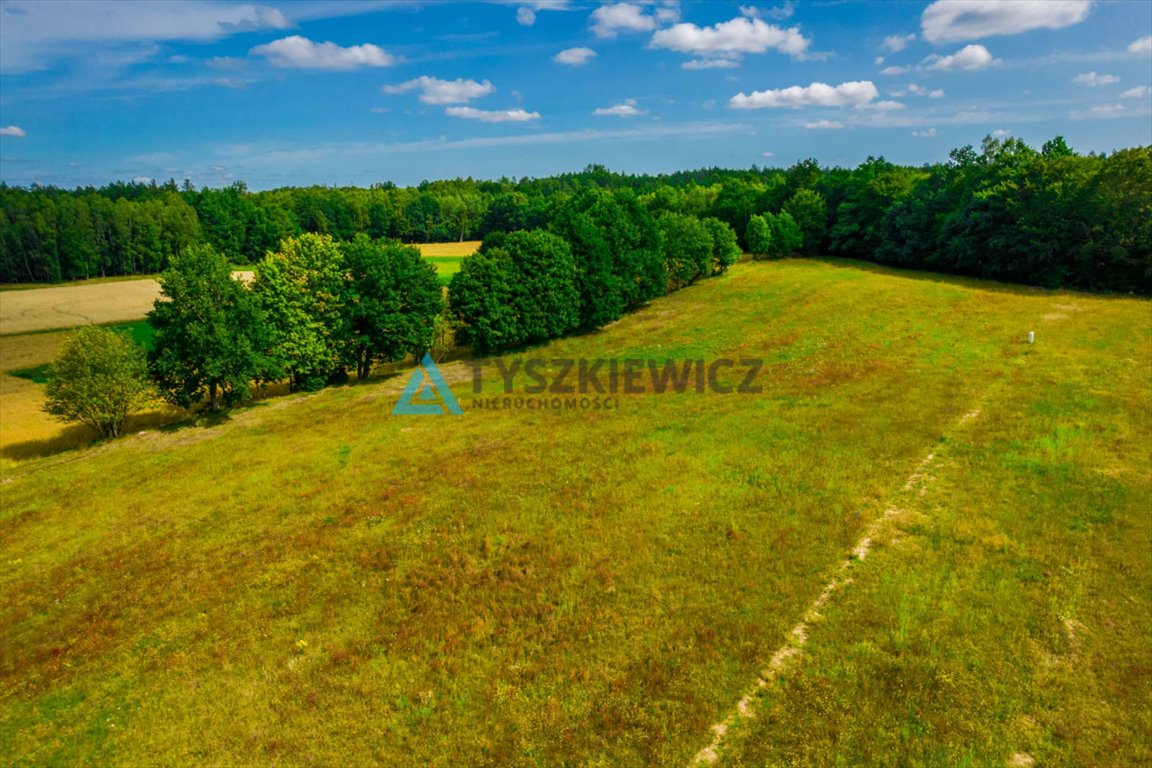 Działka budowlana na sprzedaż Nowa Wieś Przywidzka  1 216m2 Foto 11