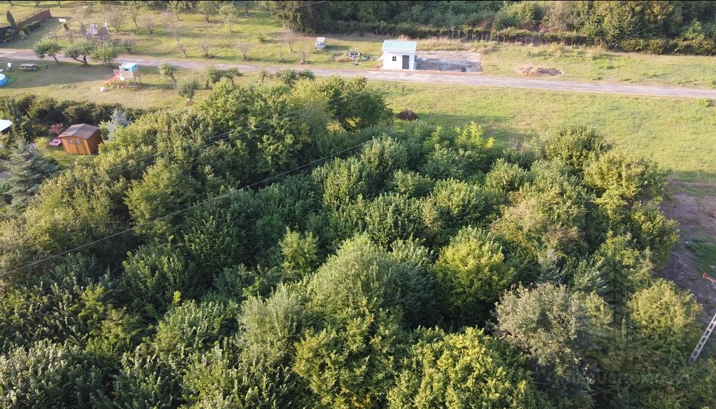 Działka budowlana na sprzedaż Szczecin, Gumieńce, Leopolda Okulickiego  5 246m2 Foto 5