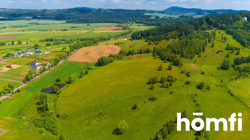 Działka budowlana na sprzedaż Krzeszów, św. Anny  44 700m2 Foto 6