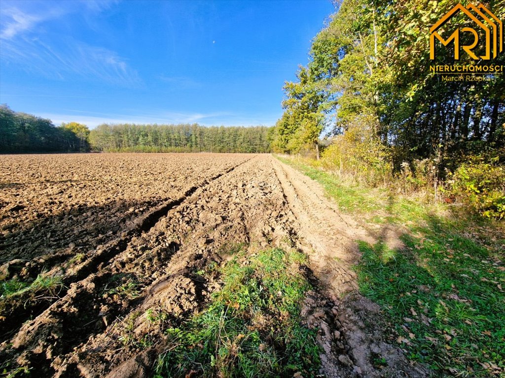 Działka inna na sprzedaż Sutków  15 100m2 Foto 7