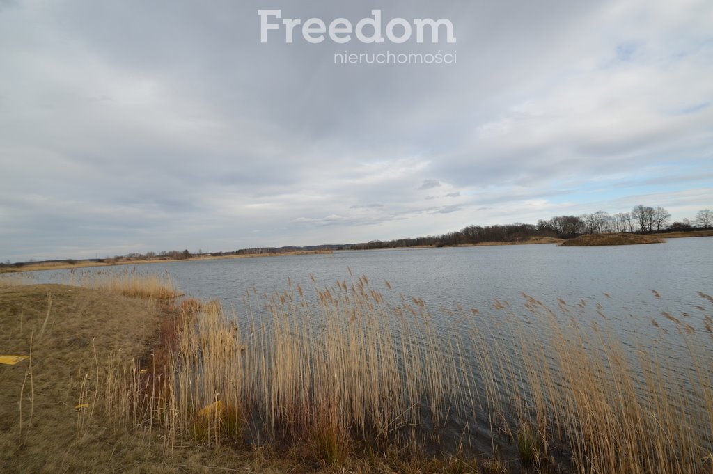 Działka inwestycyjna na sprzedaż Brzeziny  520 000m2 Foto 17