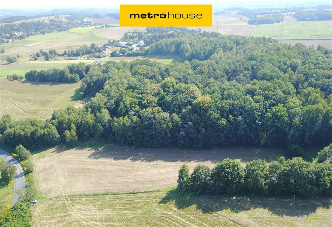 Działka rolna 1,17 ha w Radłówce – cena do negocjacji Radłówka  11 700m2 Foto 1