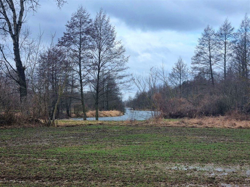 Działka rekreacyjna z linią jeziora i możliwością podziału Bodzanów, Kępska  8 700m2 Foto 1