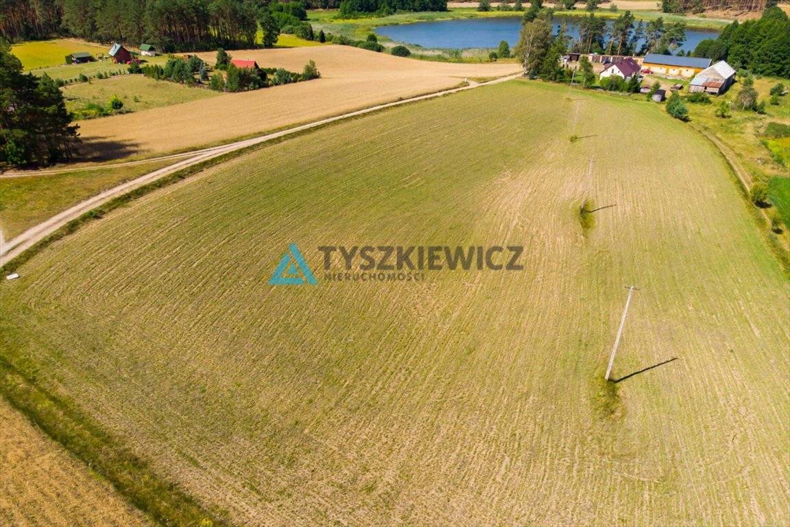 Działka rolna na sprzedaż Łubiana  3 567m2 Foto 2