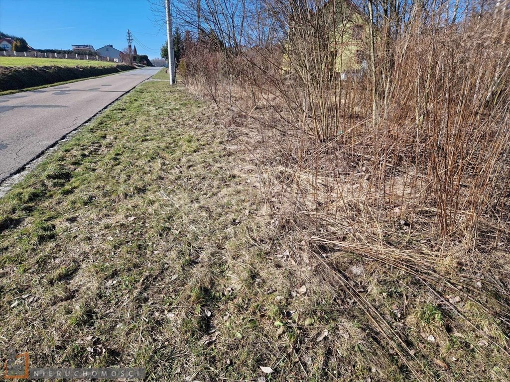 Działka 57,74 ara z możliwością zabudowy i usług Żerkowice  5 774m2 Foto 1