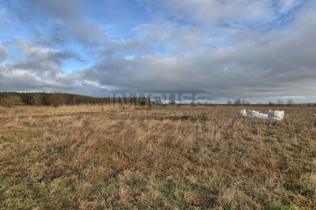 Działka rolna na sprzedaż Wąwelnica  1 191m2 Foto 5