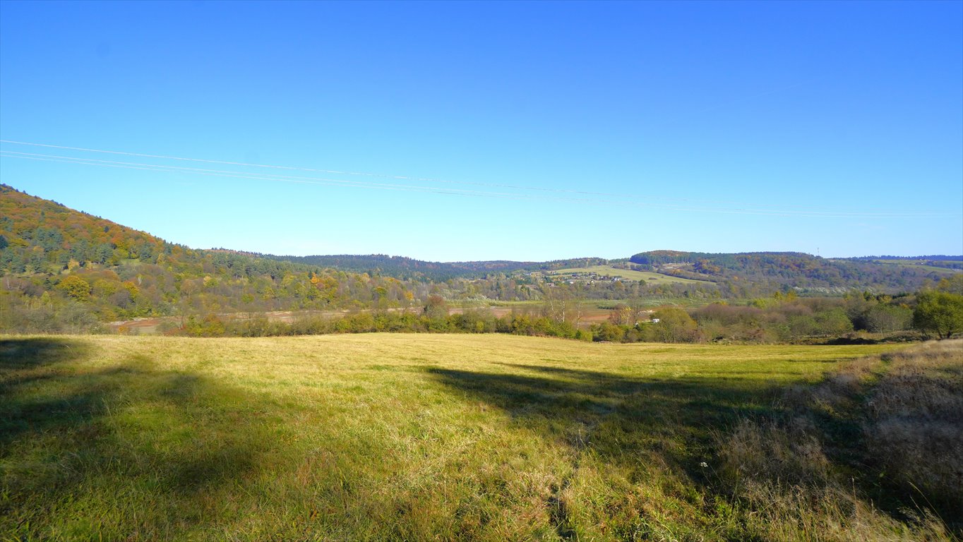 Działka rekreacyjna na sprzedaż Klimkówka  16 500m2 Foto 2