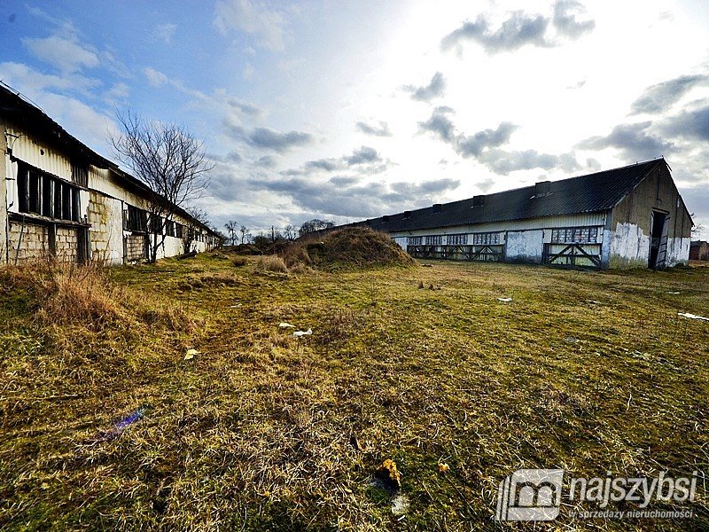 Lokal użytkowy na sprzedaż Choszczno  555 000m2 Foto 18