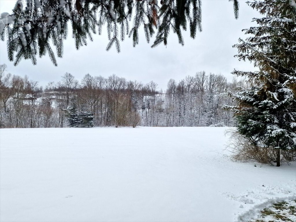 Działka rolna na sprzedaż Rzepiennik Marciszewski  15 000m2 Foto 13