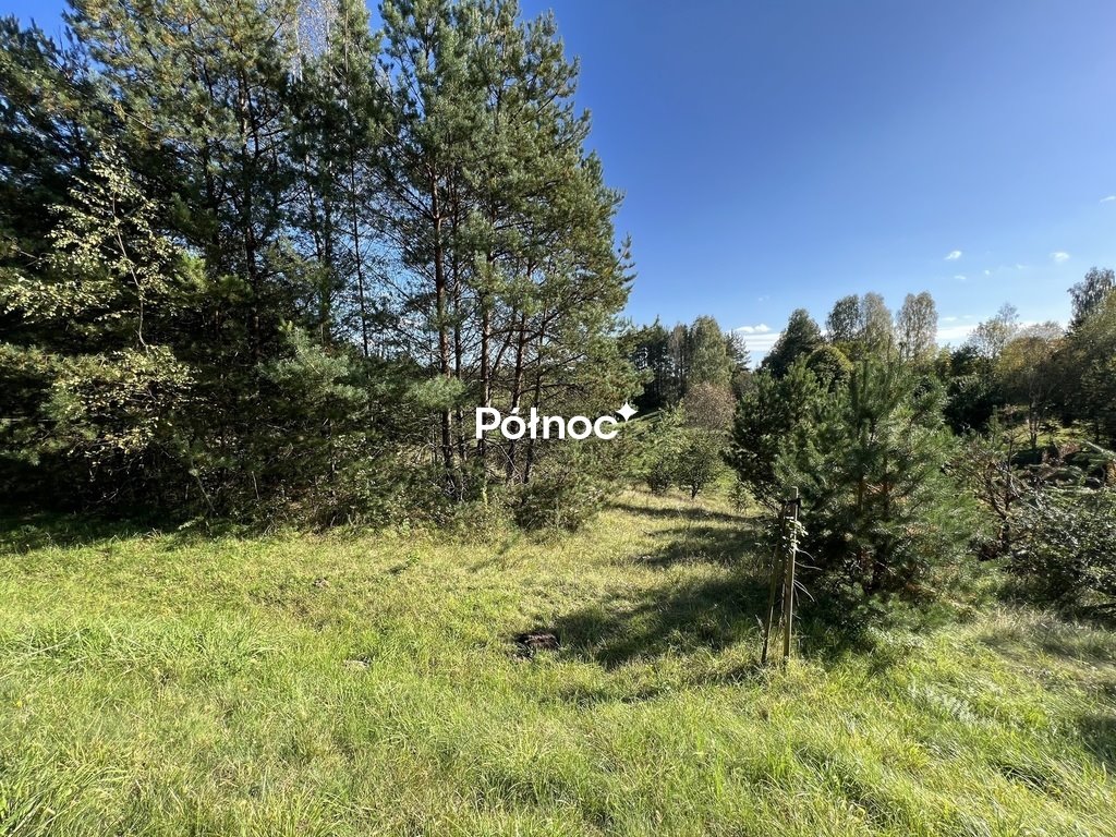 Działka 2669 m² z warunkami zabudowy, blisko jeziora Gim Nowa Kaletka  2 039m2 Foto 1