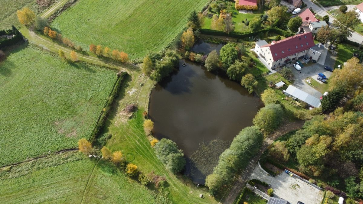 Działka przemysłowo-handlowa na sprzedaż Sosnówka, Jeleniogórska  6 442m2 Foto 6