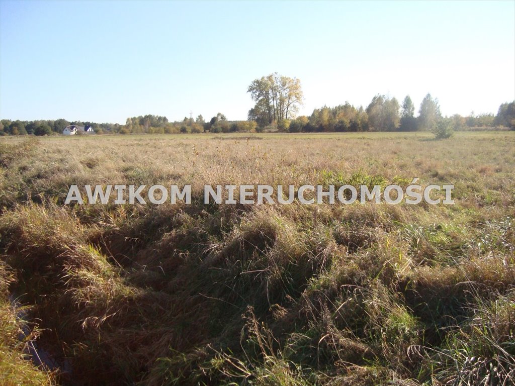 Działka budowlana na sprzedaż Żelechów  4 640m2 Foto 2