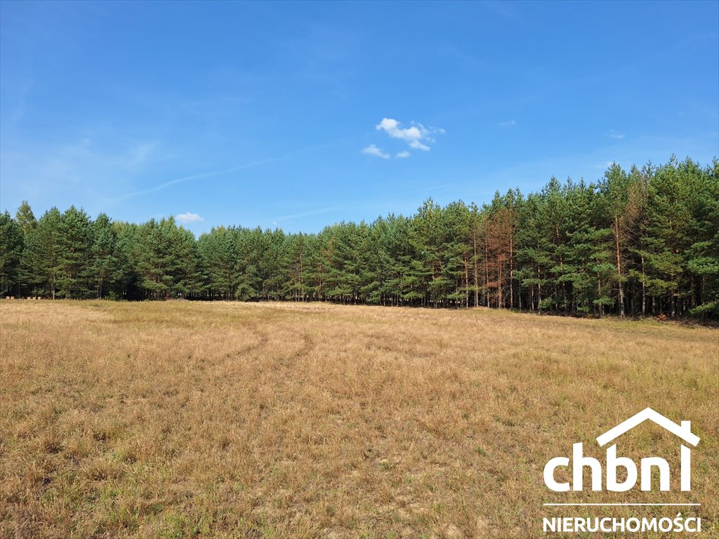 Na sprzedaż działka 3,38 ha z lasem i jeziorami w Kiełpinie Konarzyny, Kiełpin  33 800m2 Foto 1