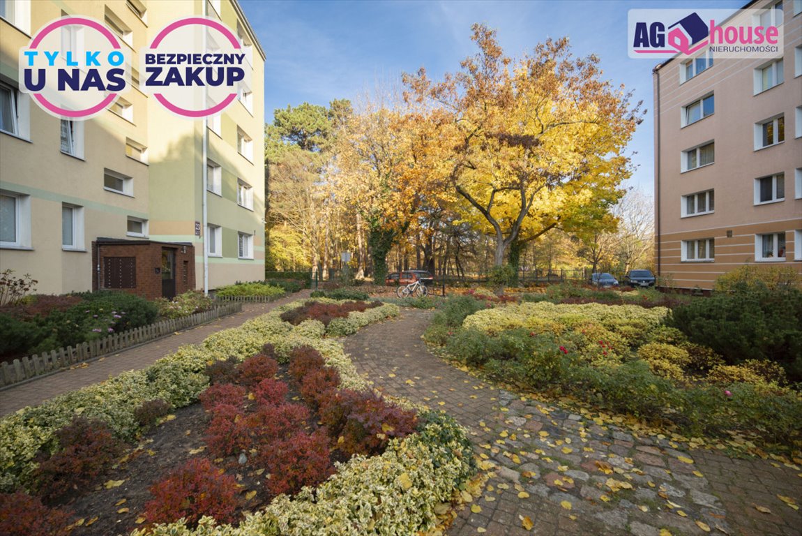 Mieszkanie dwupokojowe na sprzedaż Gdańsk, Przymorze, Tysiąclecia  39m2 Foto 2