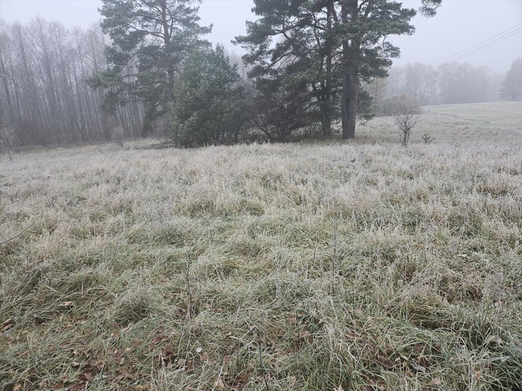 Działka rekreacyjna na sprzedaż Koczek  9 000m2 Foto 11