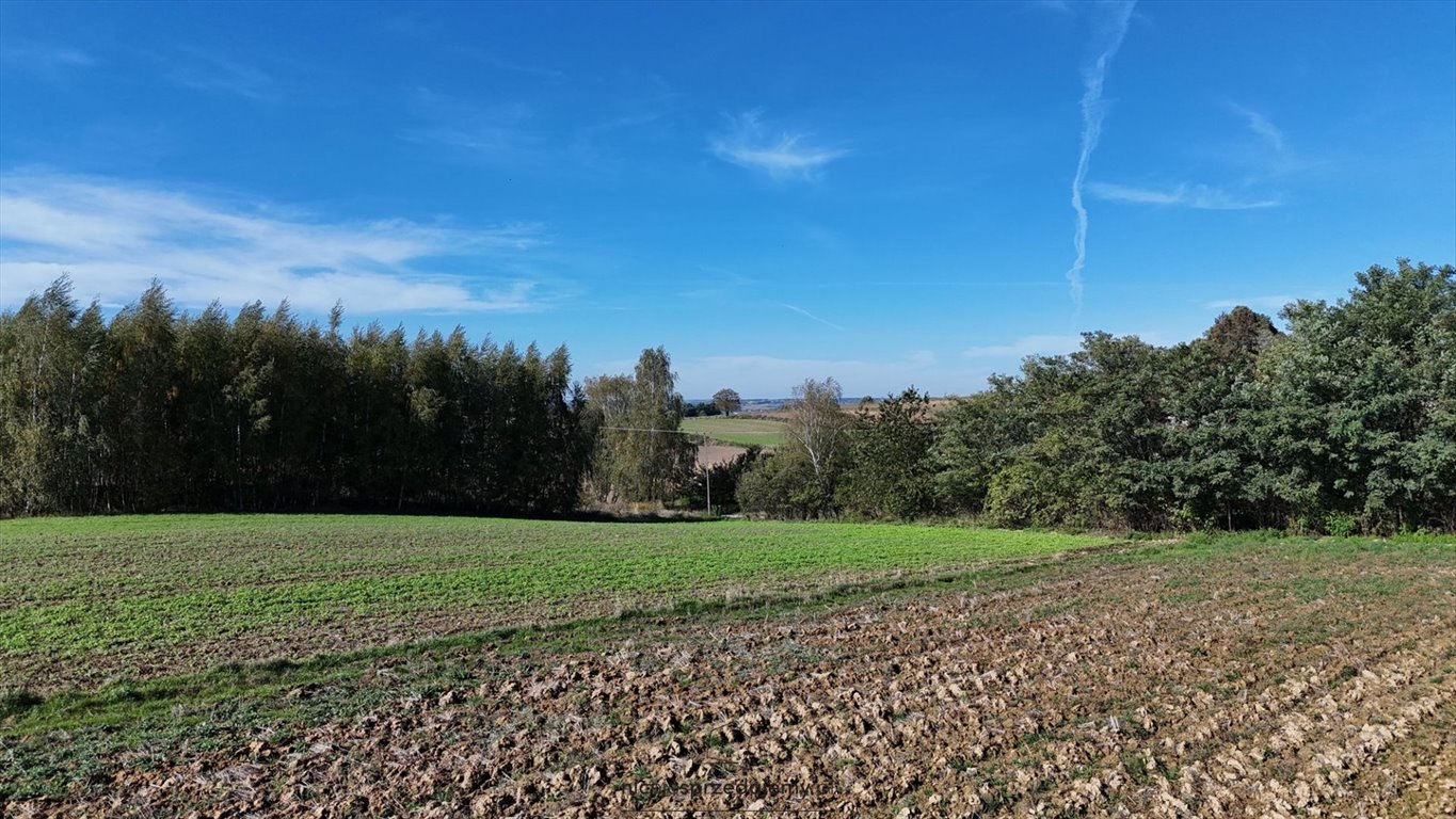 Działka rekreacyjna na sprzedaż Koszyce, Jaksice, Jaksice  750m2 Foto 3