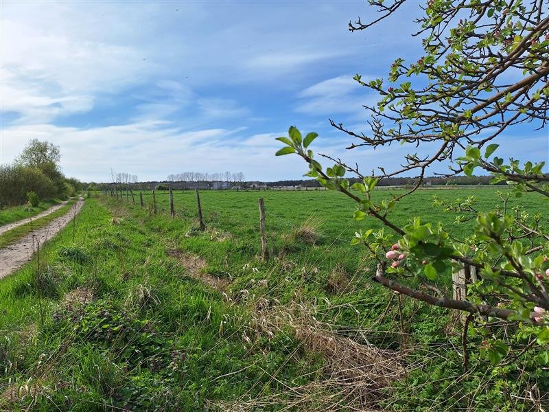 Działka budowlana na sprzedaż Żukowo Morskie, Żukowo Morskie  1 800m2 Foto 5