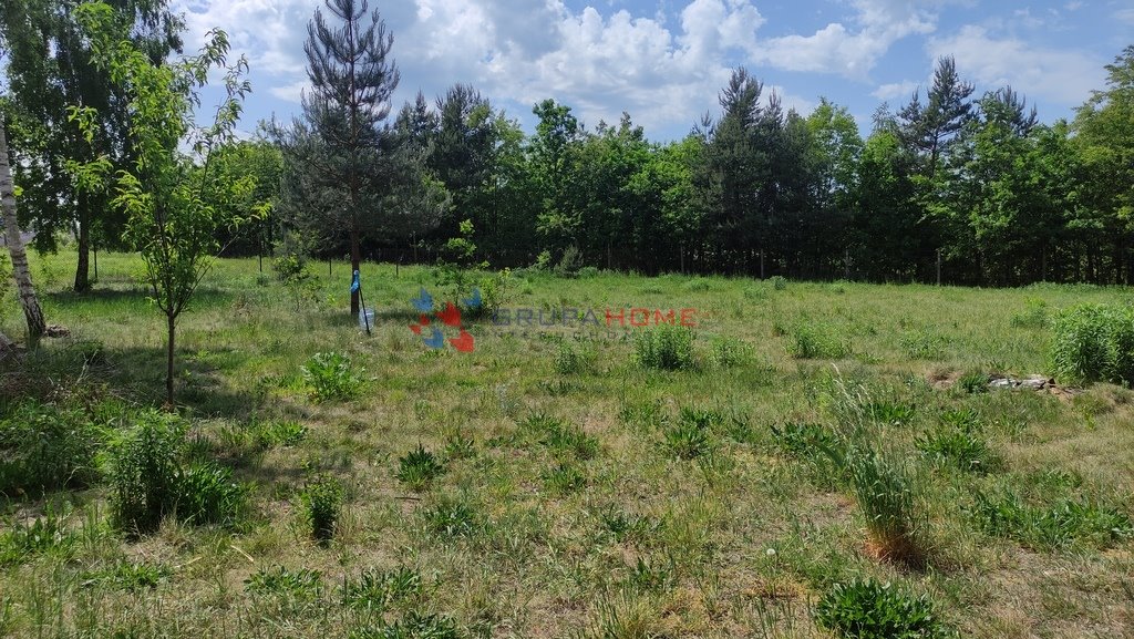 Działka budowlana na sprzedaż Łoś  3 000m2 Foto 6