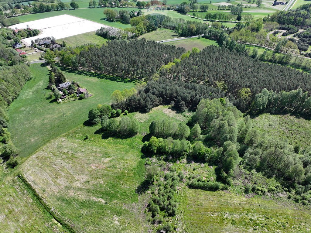 Działka budowlana na sprzedaż Chojniki  8 177m2 Foto 6