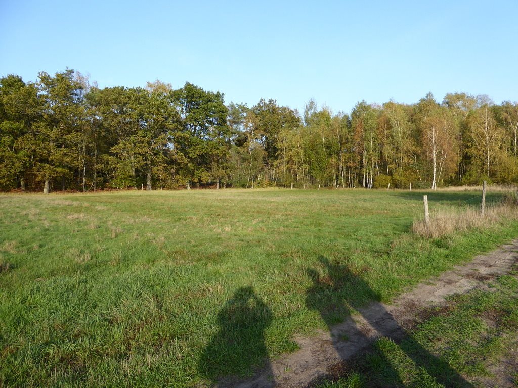 Działka budowlana na sprzedaż Uniemyśl 1 500m2 Foto 1 Działka budowlana na sprzedaż Uniemyśl 1 500m2 Foto 1