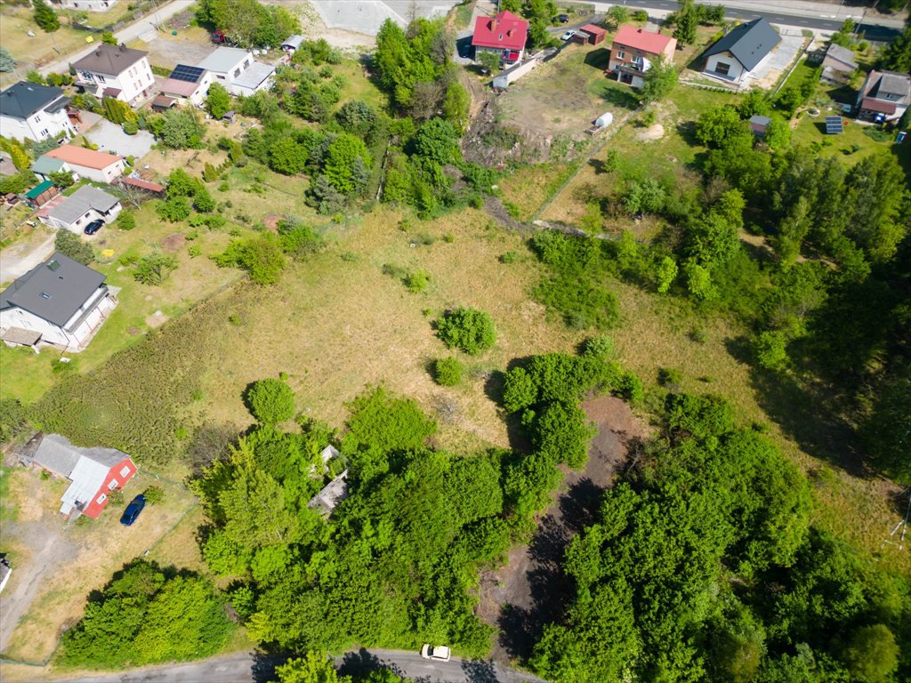 Działka rolna na sprzedaż Ostrowiec Świętokrzyski, Bieliny  1 601m2 Foto 5