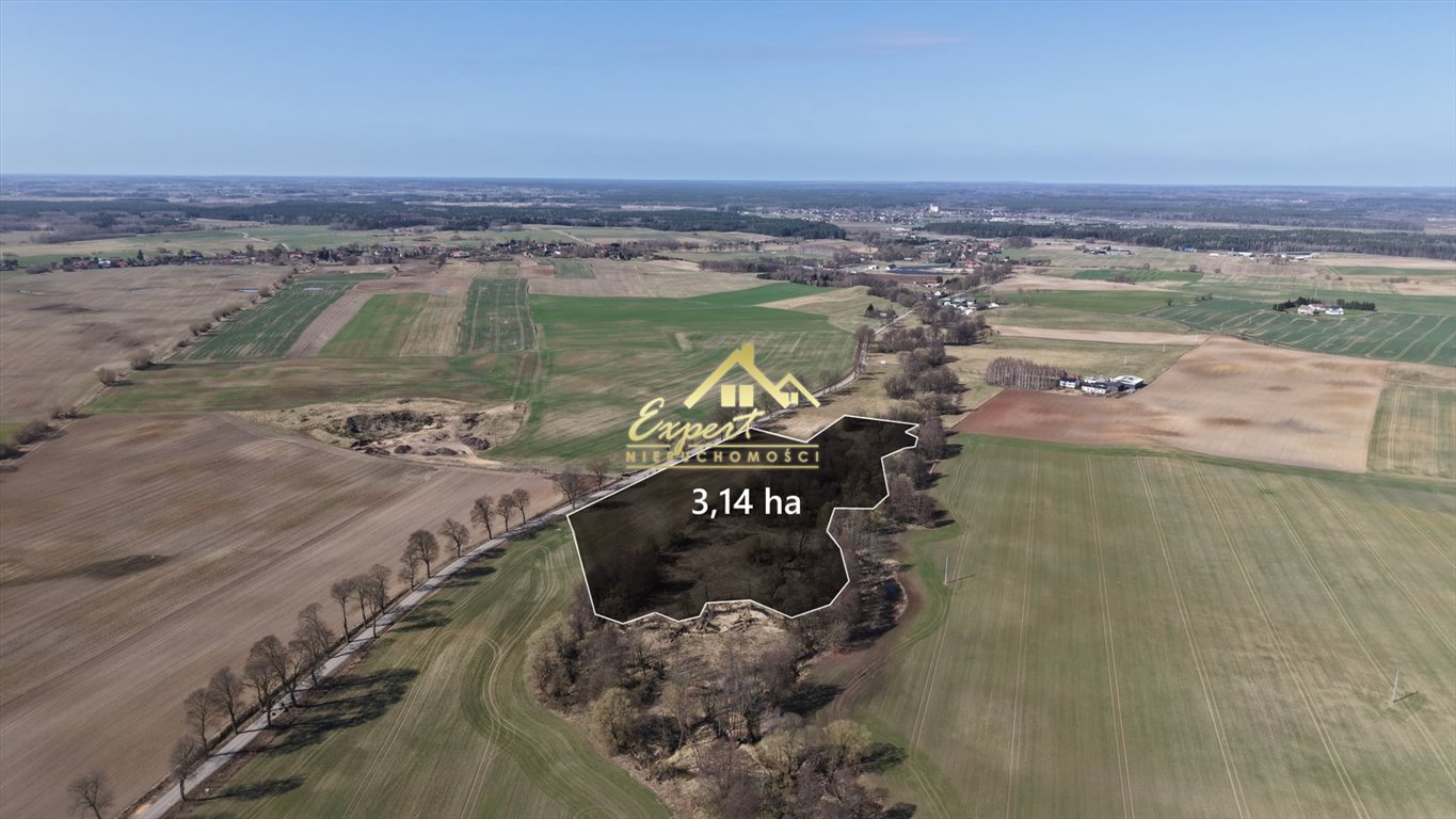 Duża działka rolna 3,15 ha w Wirwajdach - polecam Wirwajdy  31 491m2 Foto 1